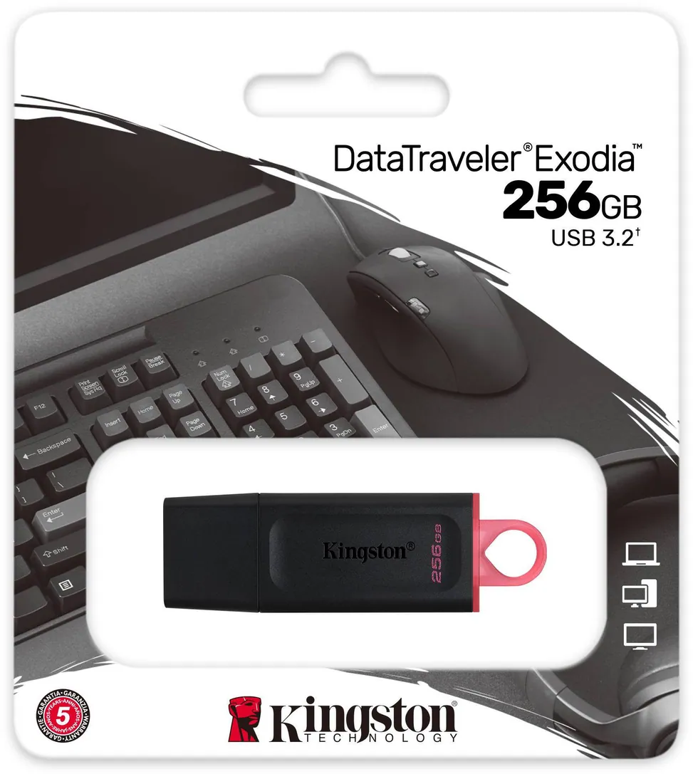 Clé USB Kingston DataTraveler Exodia USB Type-A 3.2 Gen1 - 256 Go